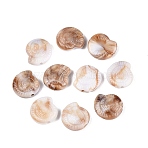 Two Tone Opaque Plastic Beads, Conch, Peru, 12x11~11.5x4~4.5mm, Hole: 1.5~1.6mm, about 1515pcs/500g(KY-N025-52)