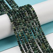 Natural Moss Agate Beads Strands, Faceted, Round, 3mm, Hole: 0.7mm, about 123~130pcs/ strand, 15.7 inch(X-G-K020-3mm-32)