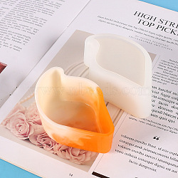 DIY Jewelry Plate Silicone Molds, Storage Molds, Resin Casting Molds, for UV Resin, Epoxy Resin Craft Making, Conch Shape, 110x63x35mm(WG42188-03)