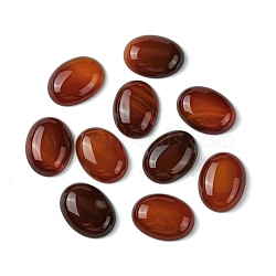 Natural Red Agate Cabochons, Dyed & Heated, Oval, Saddle Brown, 20x15x5mm(G-L601-03F-01)