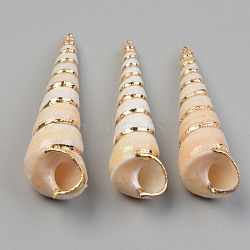 Electroplate Natural Spiral Shell Pendants, with Golden Brass Findings, Screw Shell, Seashell Color, 56.5~73.5x15~20mm, Hole: 1.6mm(SHEL-T017-18)