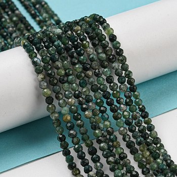 Natural Moss Agate Beads Strands, Faceted, Round, 3mm, Hole: 0.7mm, about 123~130pcs/ strand, 15.7 inch