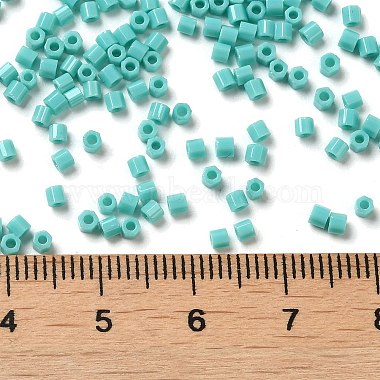 opaques perles de rocaille de verre(SEED-S042-22B-04)-4