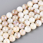AB Color Natural Freshwater Shell Beads Strands, Round, Seashell Color, 5.5~6mm, Hole: 0.5mm, about 64pcs/strand, 15.16~15.55''(38.5~39.5cm)(BSHE-T014-40A)