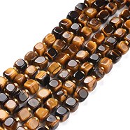 Natural Tiger Eye Beads Strands, with Seed Beads, Square, 6~7x6~7x6~7mm, Hole: 1mm, about 45pcs/strand, 15.16 inch(38.5cm)~15.83 inch(40.2cm)(G-K323-04)