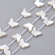Natural White Shell Mother of Pearl Shell Beads, Butterfly, 7x10x2mm, Hole: 0.5mm(SSHEL-L018-013)