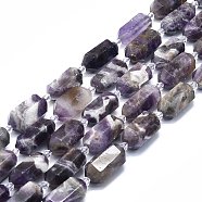 Natural Amethyst Beads Strands, Faceted, Double Terminated Pointed/Bullet, 25~27x13~15x12~13mm, Hole: 1.2mm, about 12~13pcs/strand, 15.35 inch(39cm)(G-F715-054)