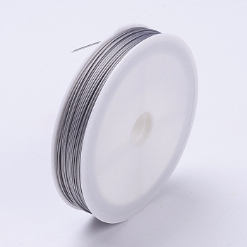 Tiger Tail Wire, Nylon-coated Stainless Steel, Original Color(Raw), Raw, 21 Gauge, 0.7mm, about 98.42 Feet(30m)/roll