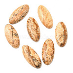 Natural Picture Jasper Cabochons, Horse Eye, 27x12x5mm(G-E491-I-01A)