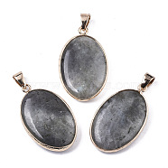 Natural Labradorite Pendants, with Light Gold Plated Brass Edge and Snap on Bail, Oval, 35~36x21.5x6.5mm, Hole: 6x7mm(G-N326-31D)