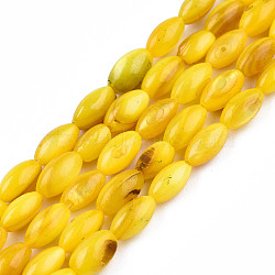 Natural Freshwater Shell Beads Strands, Dyed, Rice, Gold, 7.5x4mm, Hole: 0.8mm, about 51~52pcs/strand, 14.96 inch~15.16 inch(38~38.5cm)(SHEL-N026-212-B06)