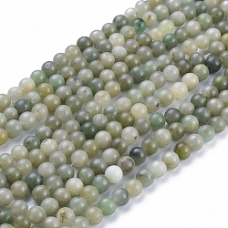 Natural Myanmar Jade/Burmese Jade Beads Strands, Round, 8.5mm, Hole: 1mm, about 45pcs/strand, 14.96 inch(38cm)(X-G-K300-H01-A)