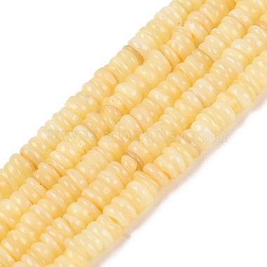 Natural Freshwater Shell Beads Strands(SHEL-Q028-01B)-1