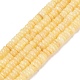 Natural Freshwater Shell Beads Strands(SHEL-Q028-01B)-1