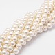 Chapelets de perles en coquille(X-BSHE-L026-03-6mm)-1