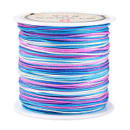 50M Segment Dyed Nylon Chinese Knotting Cord, for DIY Jewelry Making, Deep Sky Blue, 0.8mm, about 54.68 Yards(50m)/Roll(NWIR-A008-02G-1)