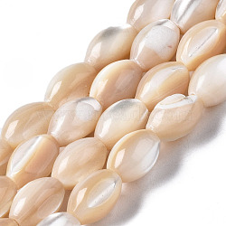 Natural Trochid Shell/Trochus Shell Beads Strands, Oval, Seashell Color, 9x6mm, Hole: 0.7mm, about 44~45pcs/strand, 15.35 inch(39cm)(SSHEL-S266-021B-02)