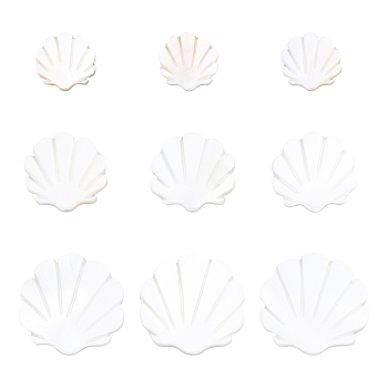 30Pcs 3 Sizes Natural Freshwater Shell Beads, Scallop Shape, Creamy White, 10pcs/size