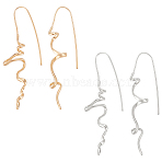 2Pairs 2 Colors Brass Irregular Line Dangle Earrings, Platinum & Golden, 71x10mm, Pin: 1mm, 1pair/color(EJEW-UN0002-60)