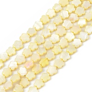 Natural Freshwater Shell Dyed Beads Strands, Flower, Yellow, 8x8.5x3mm, Hole: 0.6mm, about 49pcs/strand, 15.35''(39cm)(SHEL-K001-001C)