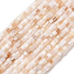 Natural Freshwater Shell Beads Strands, Disc, Heishi Beads, Beige, 3x2mm, Hole: 0.6mm, about 40pcs/strand, 77.95''(198cm)(X-SHEL-K006-72A)