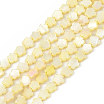 Natural Freshwater Shell Dyed Beads Strands, Flower, Yellow, 8x8.5x3mm, Hole: 0.6mm, about 49pcs/strand, 15.35''(39cm)