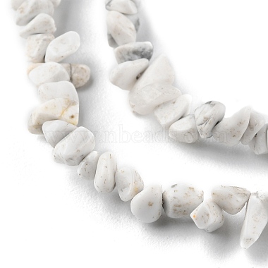 Natural Howlite Beads Strands(G-G0003-B17)-5