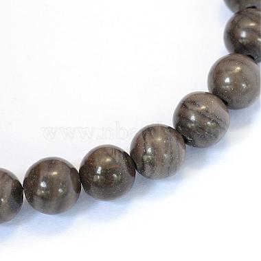 Natural Black Wood Lace Stone Round Bead Strands(G-E334-10mm-03)-2