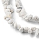 Natural Howlite Beads Strands(G-G0003-B17)-5