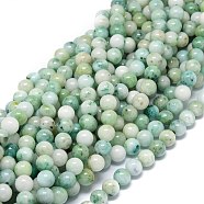 Grade A Natural Sesame Jasper Beads Strands, Round, 8~8.5mm, Hole: 1mm, about 46pcs/strand, 15.55 inch(39.5cm)(G-O201A-08B)