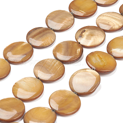 Natural Freshwater Shell Beads, Flat Round, 20x3.5~4.5mm, Hole: 0.5mm, about 20pcs/strand, 15.94 inch(40.5cm)(BSHE-I011-01A-01)