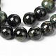 Natural Kambaba Jasper Beads Strands(G-M172-10mm-01)-1