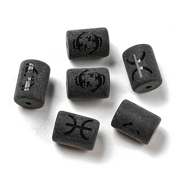 20Pcs Frosted Glass Beads, Black, Column with Constellation, Pisces, 13.7x10mm, Hole: 1.5mm