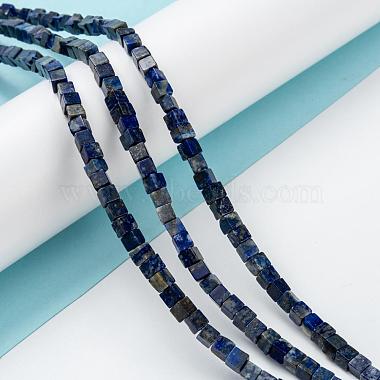 Natural Lapis Lazuli Beads Strands(G-F631-K05)-4