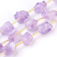 Natural Amethyst Beads Strands, Nuggets, 10~15x8~11mm, Hole: 1mm, about 22pcs/strand, 15.5 inch(39.5cm)(G-I250-03B)