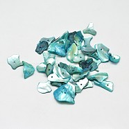 Dyed Natural Mother of Pearl Shell Nuggets Chips Beads, Light Sea Green, 5~18x5~11mm, Hole: 2mm, about 1980pcs/500g(BSHE-O007-10A)