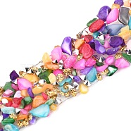 Hotfix Rhinestone, with Shell Beads and Rhinestone Trimming, Crystal Glass Sewing Trim Rhinestone Tape, Costume Accessories, Colorful, 20mm(DIY-B011-02A-03)