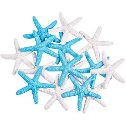 Resin Cabochons, Starfish, Mixed Color, 57x9.5mm, 8pcs/color, 16pcs/box(PH-CRES-G015-05-WH)