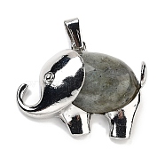 Natural Labradorite Pendants, Elephant Charms with Alloy Findings, Platinum, 29x37~37.5x9.5~10mm, Hole: 3x9mm(G-G112-01P-06)