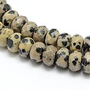 Faceted Natural Dalmatian Jasper Rondelle Beads Strands, 8x5mm, Hole: 1mm, about 76pcs/strand, 15.2 inch(G-K090-03)
