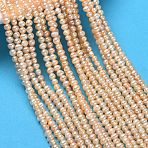 Natural Cultured Freshwater Pearl Beads Strands, Grade 5A, Potato, Sandy Brown, 2~3mm, Hole: 0.1mm, about 126pcs/strand, 13.78''(35cm)(PA-CBAC463-41)