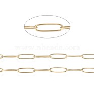 3.28 Feet Ion Plating(IP) 304 Stainless Steel Paperclip Chains, Soldered, Golden, 10x2.5x0.5mm(X-CHS-F010-01C-G)
