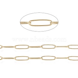 3.28 Feet Ion Plating(IP) 304 Stainless Steel Paperclip Chains, Soldered, Golden, 10x2.5x0.5mm(X-CHS-F010-01C-G)