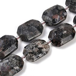 Natural Syenite Beads Strands, Faceted, Rectangle, with Seed Beads, 21~22x15~17x7~8mm, Hole: 1mm, about 16~20pcs/strand, 15.35~15.75''(39~40cm)(G-B125-P20-01)