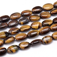 Natural Tiger Eye Flat Oval Bead Strands, 14x10x6mm, Hole: 1mm, about 29pcs/strand, 15.7 inch(G-M206-19)