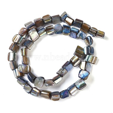 Dyed Natural Freshwater Shell Beads Strands(SHEL-P016-01B)-2