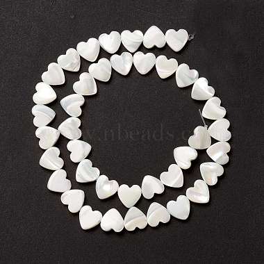 Natural Trochid Shell/Trochus Shell Beads(SSHEL-O001-27B)-2