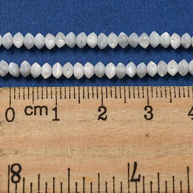 Natural Trochus Shell Rondelle Beads Strands(SSHEL-H072-01B)-4