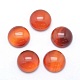 Natural Carnelian Cabochons(G-P393-R41-12mm)-1