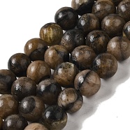 Natural Chiastolite Beads Strands, Round, 10mm, Hole: 1.2mm, about 41pcs/strand, 16.38''(41.6cm)(G-Q161-A03-04)
